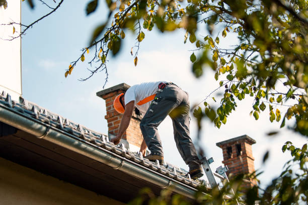 Best Commercial Roofing Services  in Ciborne, LA