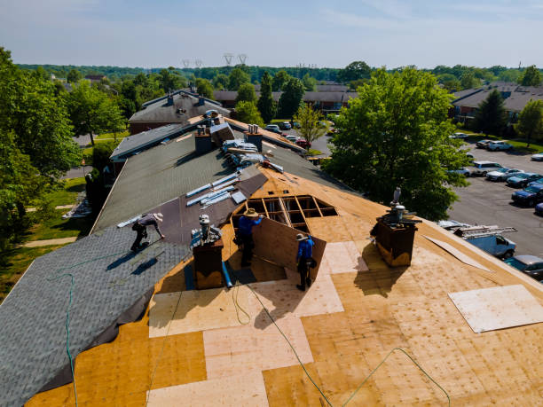 Quick and Trustworthy Emergency Roof Repair Services in Claiborne, LA