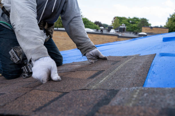 Best Storm Damage Roof Repair  in Ciborne, LA