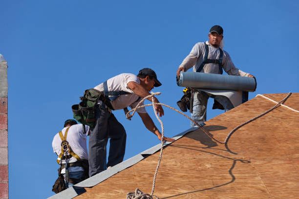 Best New Roof Installation  in Ciborne, LA
