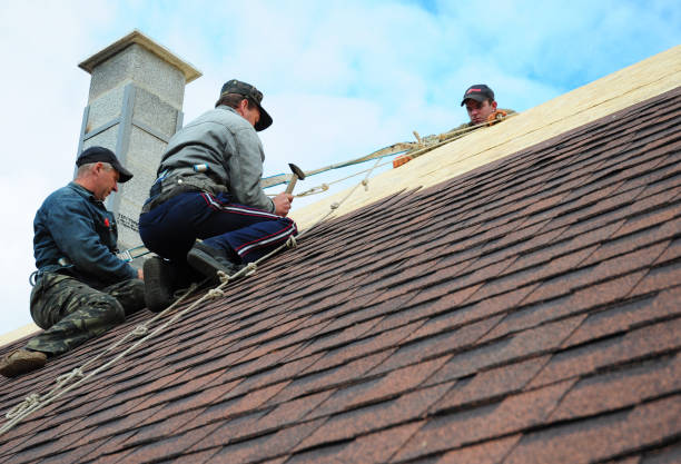 Best Roof Maintenance Services  in Ciborne, LA